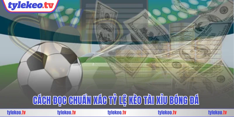 Cách đọc chuẩn xác tỷ lệ kèo tài xỉu bóng đá