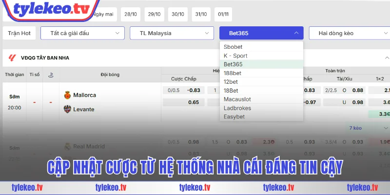 Cập nhật cược từ hệ thống nhà cái đáng tin cậy