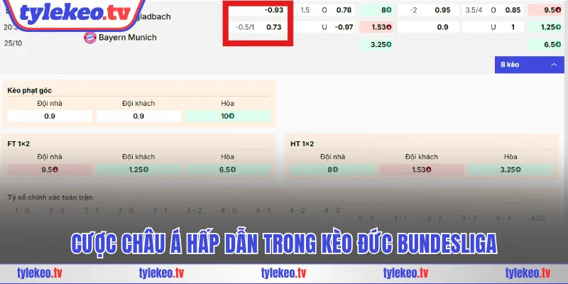 Cược châu Á hấp dẫn trong kèo Đức Bundesliga