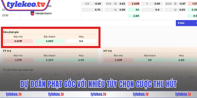 Dự đoán phạt góc với nhiều tùy chọn cược thu hút