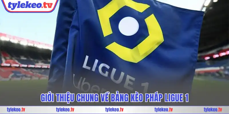 Giới thiệu chung về bảng kèo Pháp Ligue 1