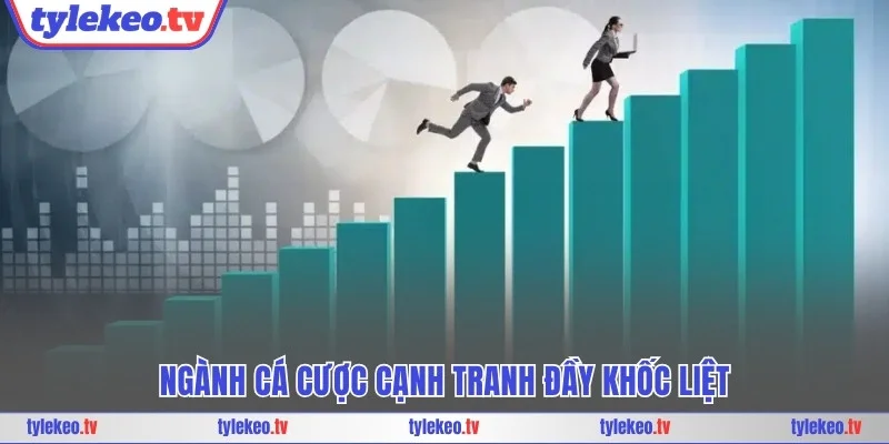 Ngành cá cược cạnh tranh đầy khốc liệt