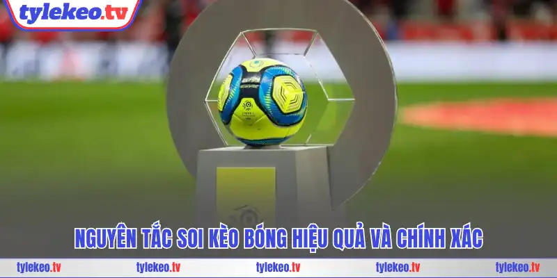 Nguyên tắc soi kèo bóng hiệu quả và chính xác